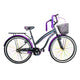 Gris Morado