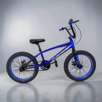Bicicleta Rin 20 RAVAGE Disco MEC On-Trail  BIC0445