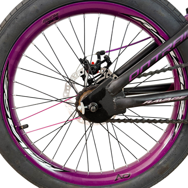 Bicicleta On-Trail  Rin 20 RAVAGE DISCO MEC BIC0445