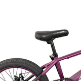 Bicicleta On-Trail  Rin 20 RAVAGE DISCO MEC BIC0445