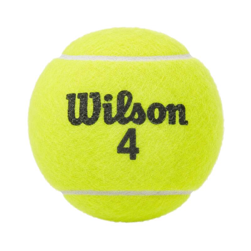 Pelota Tenis Campo Wilson Championship
