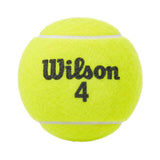 Pelota Tenis Campo Wilson Championship