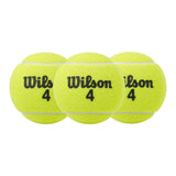 Pelota Tenis Campo Wilson Championship
