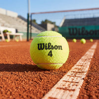 Pelota Tenis Campo Wilson Championship