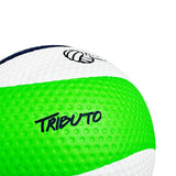 Balón Voleibol Tributo Pro Golty T680594