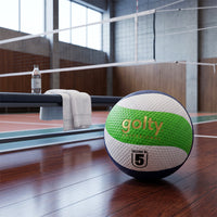 Balón Voleibol Tributo Pro Golty T680594