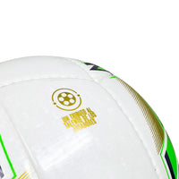 Balón Futsala Tributo FGA Cosido 62-64 Golty T661999