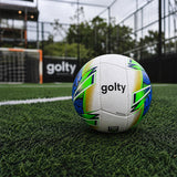 Balón Futsala Tributo FGA Cosido 62-64 Golty T661999