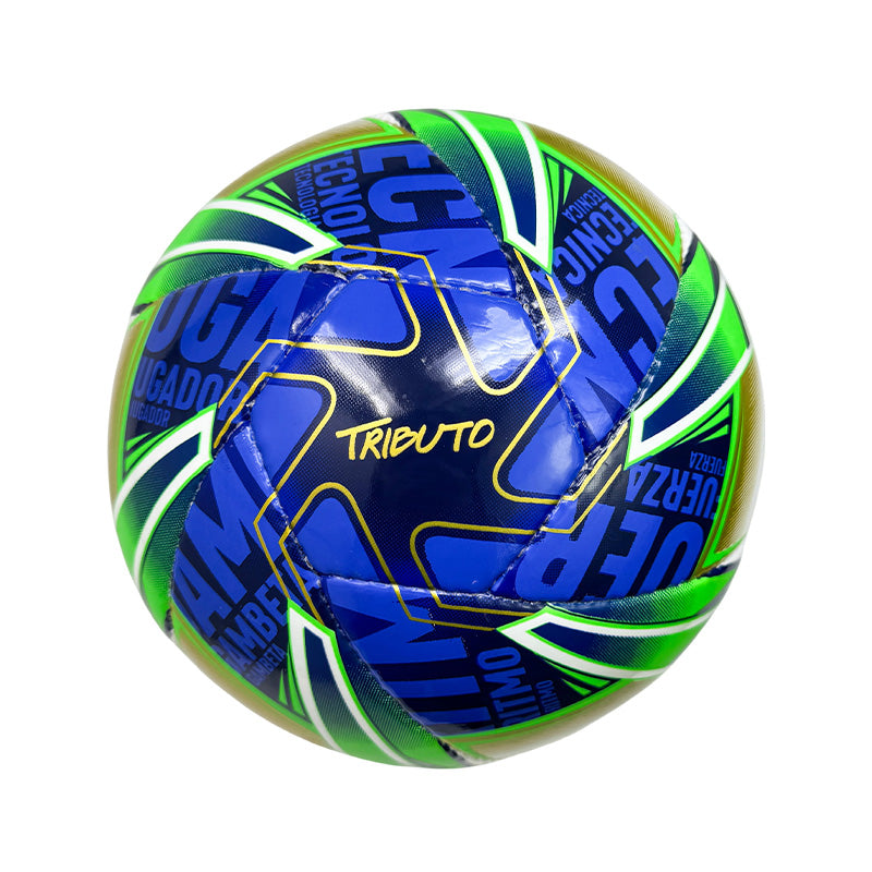 Balón Futsala Tributo FGA Cosido 62-64 Golty T661999