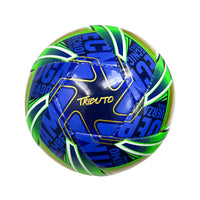 Balón Futsala Tributo FGA Cosido 62-64 Golty T661999