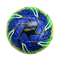 Balón Fútbol Tributo THERMOBONDED PROF N4 Golty T661173