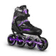 purpura