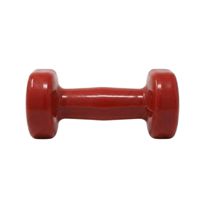 Mancuernas 4 LB SportFitness 070099