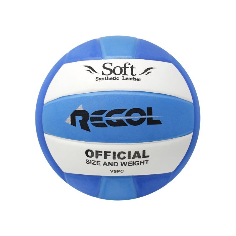 Balón Voleibol Regol Recreativo N5