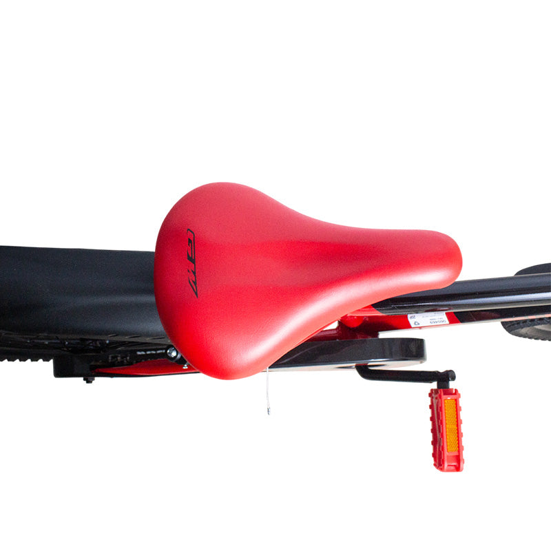 Bicicleta GW Rin 20 SHADOW 060469