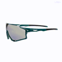 Gafas Ciclismo CALVERT GW 813309