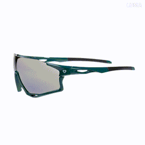 Gafas Ciclismo CALVERT GW 813309