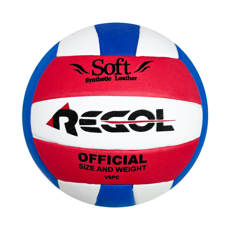 Balón Voleibol Regol Recreativo N5