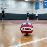 Balón Voleibol Regol Recreativo N5