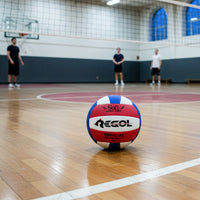 Balón Voleibol Regol Recreativo N5
