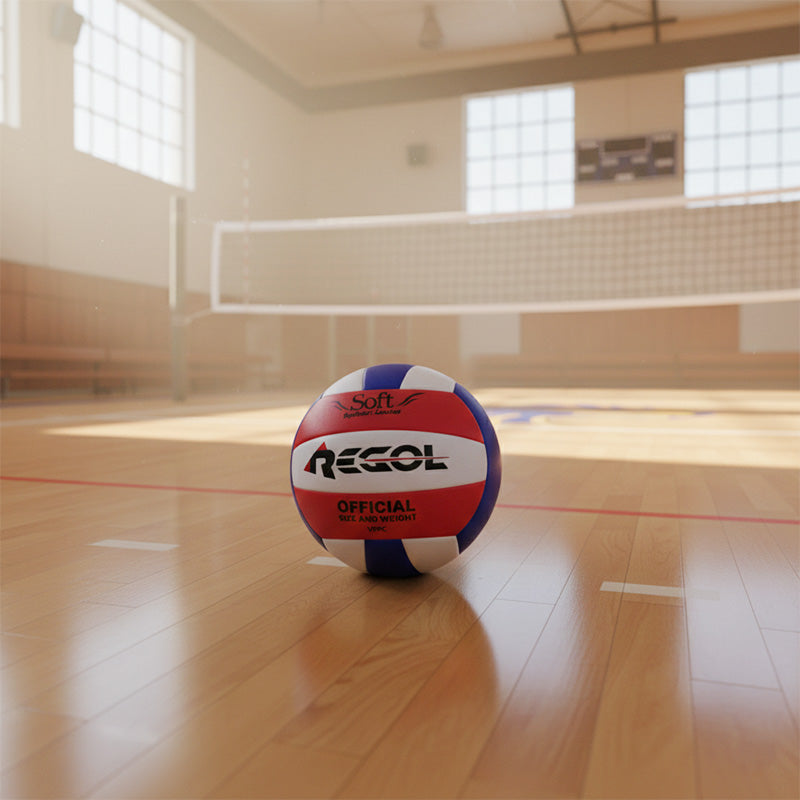 Balón Voleibol Regol Recreativo N5