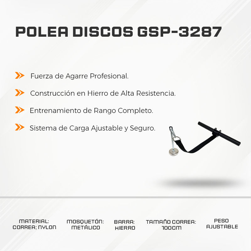 Polea Discos GSP-3287