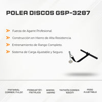 Polea Discos GSP-3287