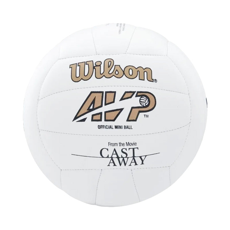 Balón Voleibol MR Wilson