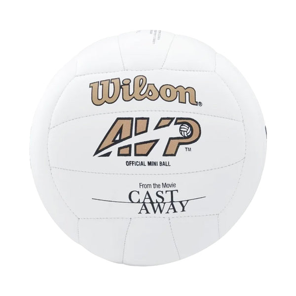 Balón Voleibol MR Wilson