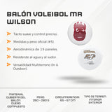 Balón Voleibol MR Wilson