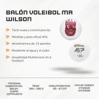 Balón Voleibol MR Wilson