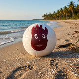 Balón Voleibol MR Wilson