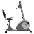 Recumbent Magnética  Krank Cycle  070306