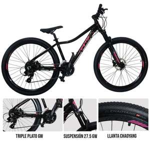Bicicleta Deer GW