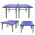 Mesa Ping Pong Junior