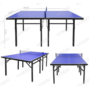 Mesa Ping Pong Junior
