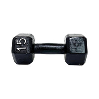 Mancuerna Hierro 15 Lb Fucol