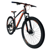 Bicicleta Jaguar GW Rin 29 Marco 17"