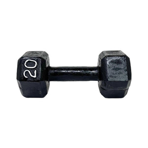 Mancuerna Hierro 20 LB Fucol