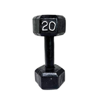 Mancuerna Hierro 20 LB Fucol