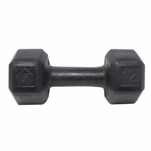 Mancuerna Hexagonal Finsa Caucho 12LB