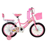 Bicicleta NL Y-21 Rin-16