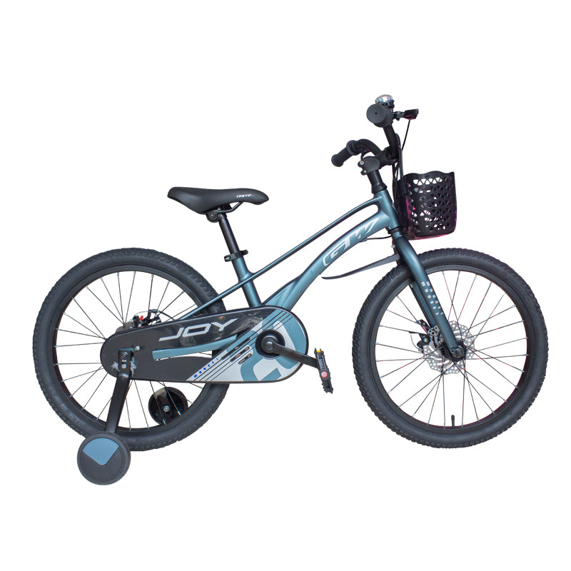 Bicicleta GW Rin 20 JOY 060744