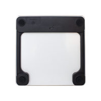 Bascula Digital Wonder GSP-3190