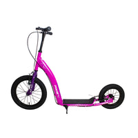 Patineta Tabla GW Pixie  060118