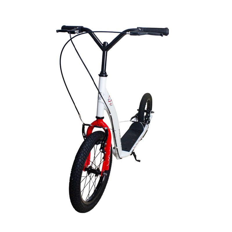 Patineta Tabla GW Pixie  060118