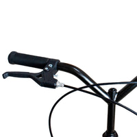 Patineta Tabla GW Pixie  060118