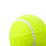 Pelota Tenis Campo X3 BOLSA AK12571