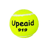 Pelota Tenis Campo X3 BOLSA AK12571