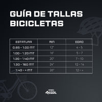 Bicicleta Rin 24 Travel Suspensión GW 060843